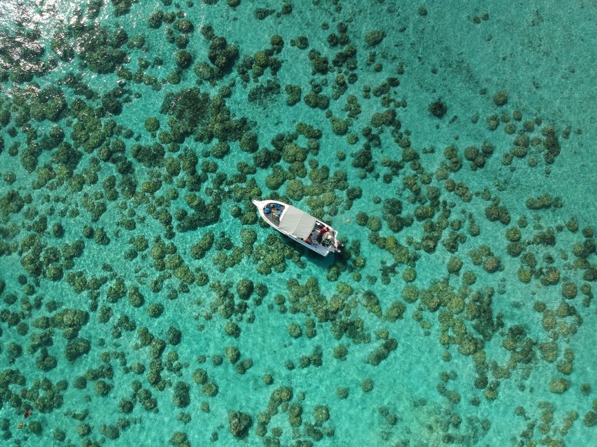 Perahu melintasi terumbu karang dari udara